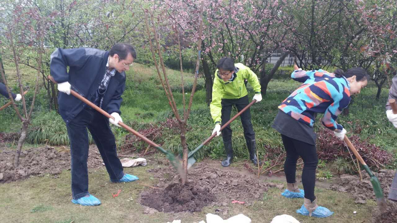 QQ图片20160407135312.jpg
